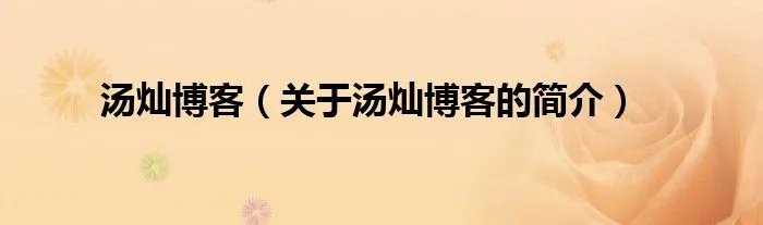 汤灿博客（关于汤灿博客的简介）