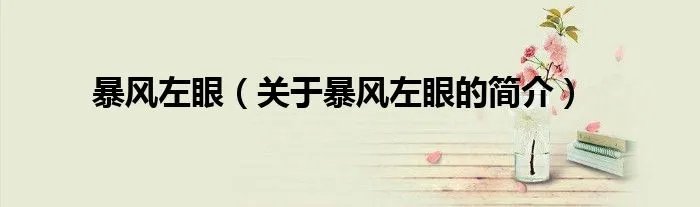 暴风左眼(关于暴风左眼的简介)