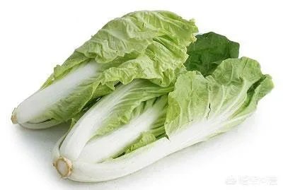 金边白菜是什么菜系？