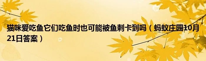 猫咪爱吃鱼它们吃鱼时也可能被鱼刺卡到吗(蚂蚁庄园10月21日答案)