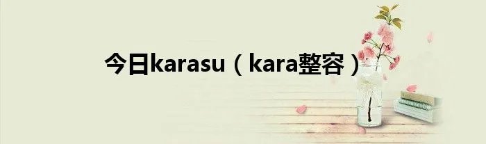 今日karasu（kara整容）