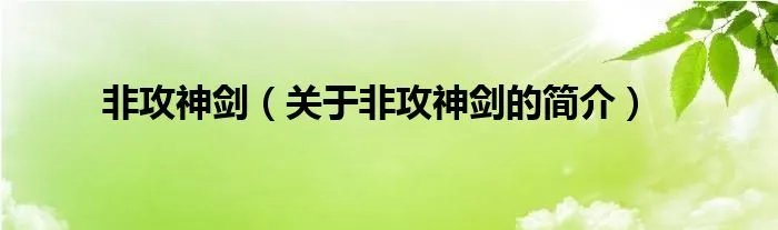 非攻神剑（关于非攻神剑的简介）