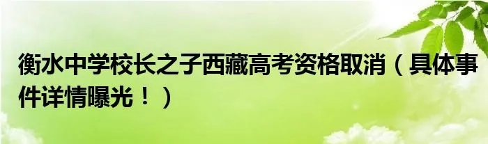 衡水中学校长之子西藏高考资格取消（具体事件详情曝光！）