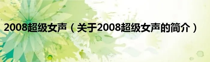2008超级女声（关于2008超级女声的简介）