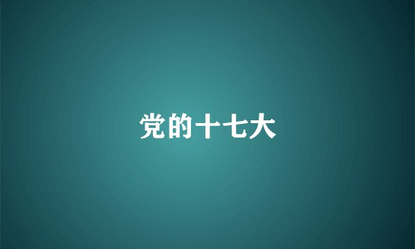 党的十七大