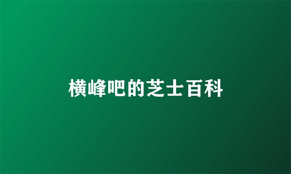 横峰吧的芝士百科
