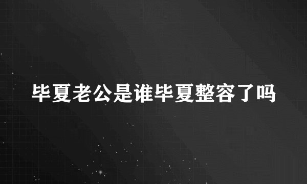 毕夏老公是谁毕夏整容了吗