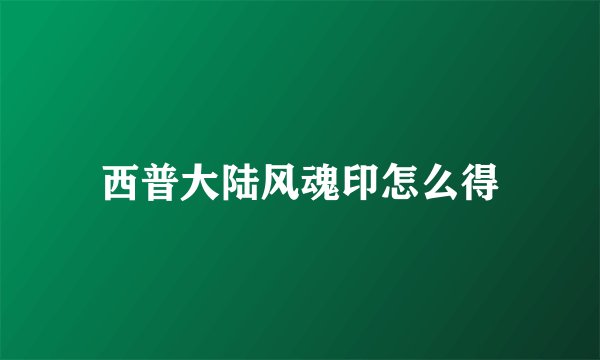 西普大陆风魂印怎么得