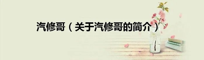 汽修哥（关于汽修哥的简介）