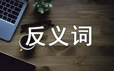 固执反义词是什么