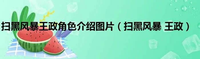 扫黑风暴王政角色介绍图片（扫黑风暴 王政）