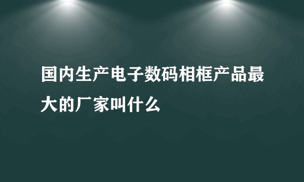 国内生产电子数码相框产品最大的厂家叫什么
