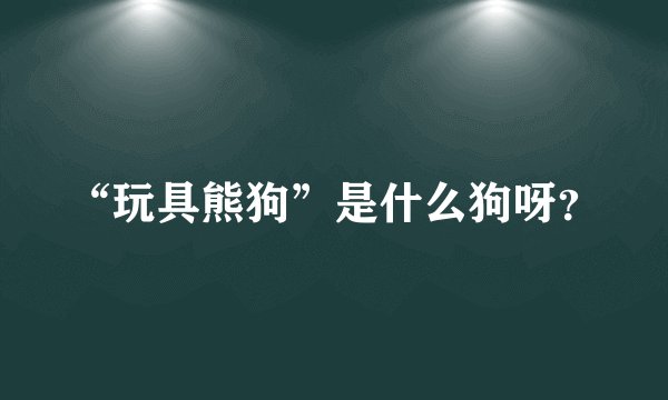 “玩具熊狗”是什么狗呀？
