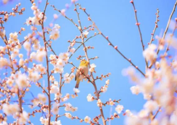 2019年2月4日几点立春 2019什么时候立春时辰