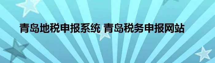 青岛地税申报系统 青岛税务申报网站