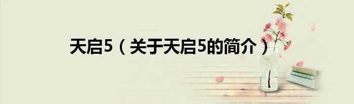 天启5(关于天启5的简介)