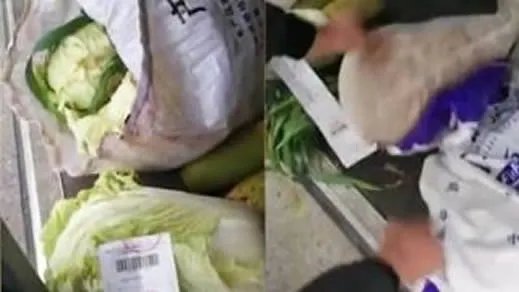 乘客带白菜被罚款你怎么看待:详情真相最后怎么怎么解决的