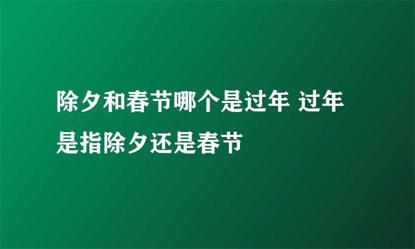 除夕和春节哪个是过年 过年是指除夕还是春节