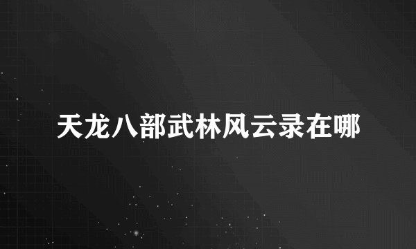 天龙八部武林风云录在哪