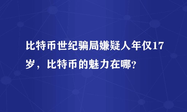 比特币世纪骗局嫌疑人年仅17岁，比特币的魅力在哪？