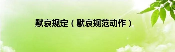 默哀规定（默哀规范动作）