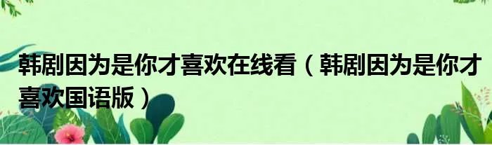 韩剧因为是你才喜欢在线看（韩剧因为是你才喜欢国语版）