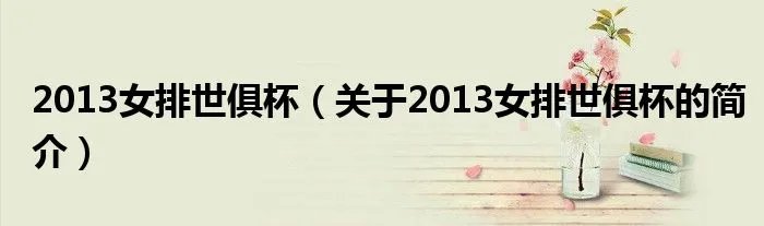 2013女排世俱杯（关于2013女排世俱杯的简介）