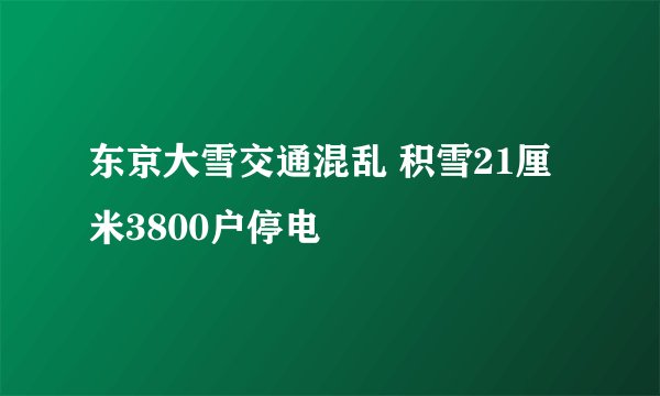 东京大雪交通混乱 积雪21厘米3800户停电