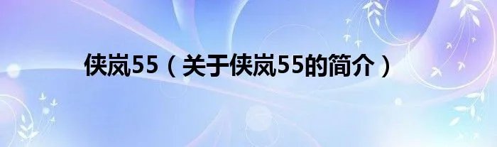 侠岚55（关于侠岚55的简介）