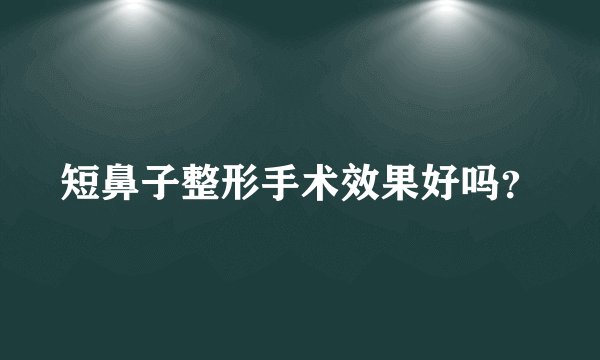 短鼻子整形手术效果好吗?