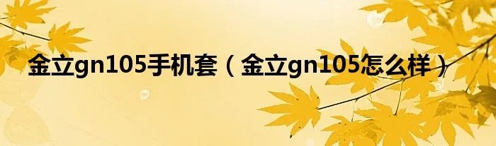 金立gn105手机套（金立gn105怎么样）