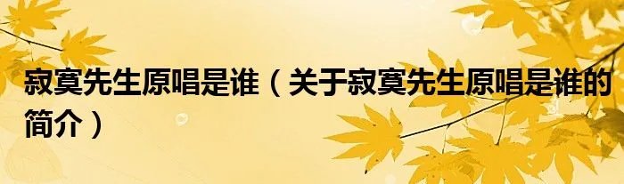 寂寞先生原唱是谁（关于寂寞先生原唱是谁的简介）