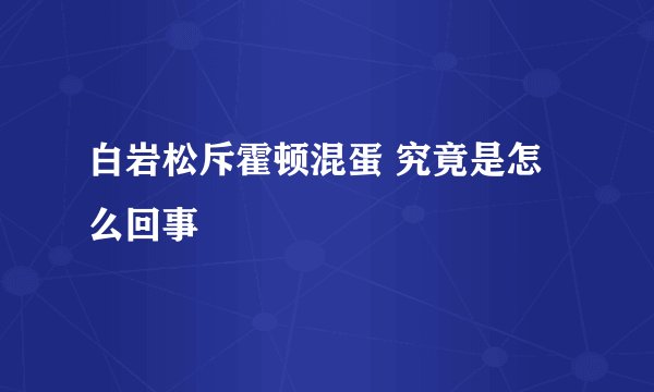 白岩松斥霍顿混蛋 究竟是怎么回事