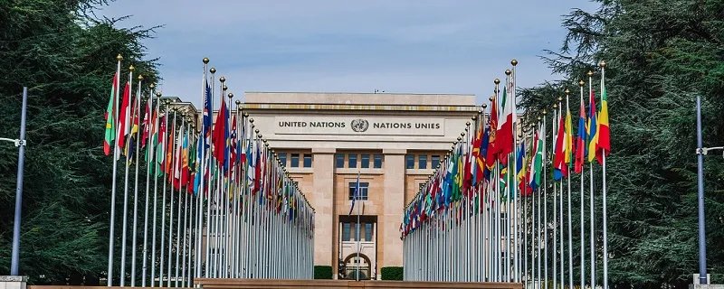 联合国总部设在美国的什么市