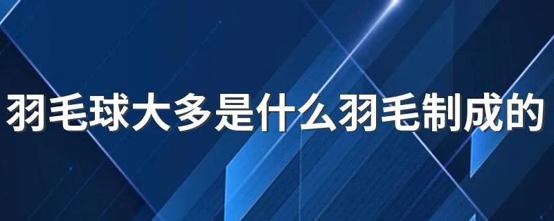 羽毛球大多是什么羽毛制成的
