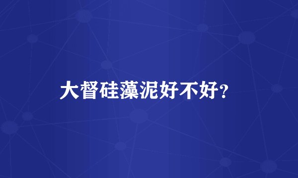 大督硅藻泥好不好?