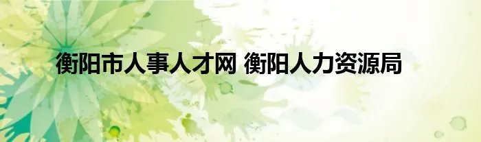 衡阳市人事人才网 衡阳人力资源局