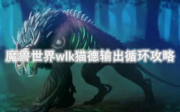 魔兽世界wlk猫德输出循环攻略