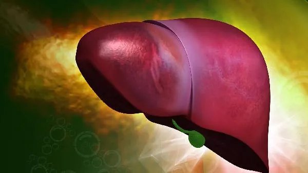 丙肝抗体怎么回事？