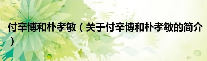 付辛博和朴孝敏（关于付辛博和朴孝敏的简介）