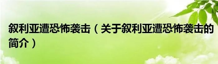 叙利亚遭恐怖袭击（关于叙利亚遭恐怖袭击的简介）