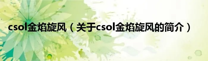 csol金焰旋风（关于csol金焰旋风的简介）