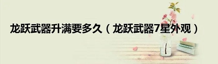 龙跃武器升满要多久（龙跃武器7星外观）
