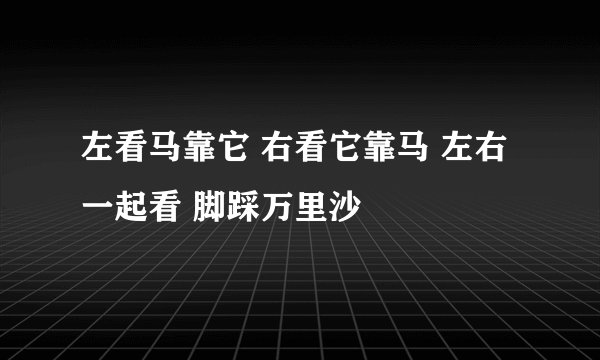 左看马靠它 右看它靠马 左右一起看 脚踩万里沙