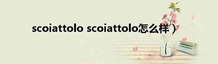 scoiattolo scoiattolo怎么样）