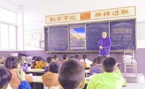 《第一朵杏花》教学设计