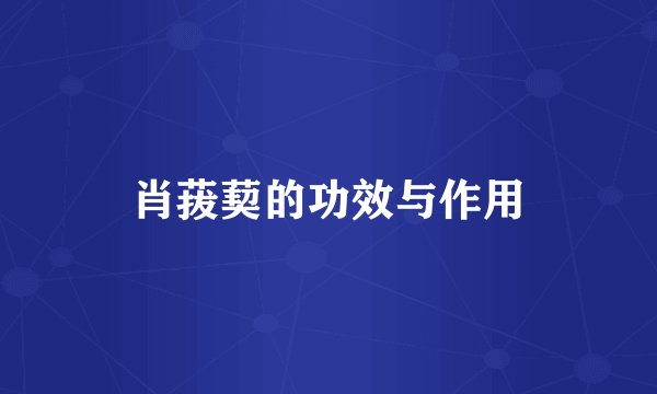 肖菝葜的功效与作用