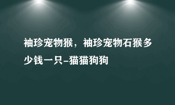 袖珍宠物猴，袖珍宠物石猴多少钱一只-猫猫狗狗
