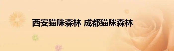 西安猫咪森林 成都猫咪森林