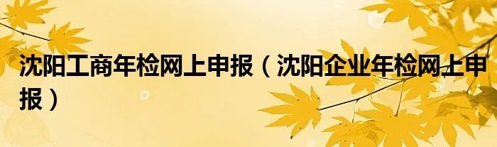 沈阳工商年检网上申报（沈阳企业年检网上申报）
